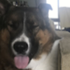 Meet your Posher, Connor